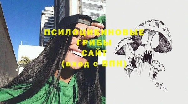 прущие крисы Михайлов