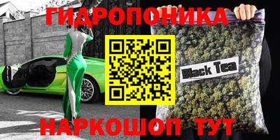 индика Абинск