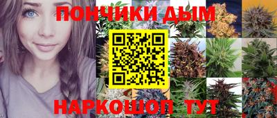 дживик Гай